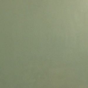 Meet your Posher, Allana