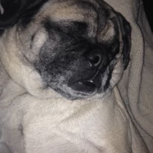 Meet your Posher, Carly