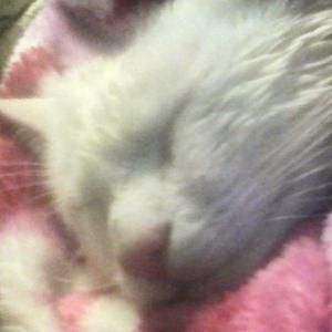 Meet your Posher, D kathy