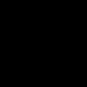 Meet your Posher, Aide