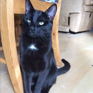 Meet your Posher, Danie