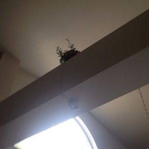 Meet your Posher, Icia