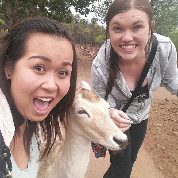 Meet your Posher, Veronica - Picture 1 of 1