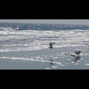 Meet your Posher, Rachael