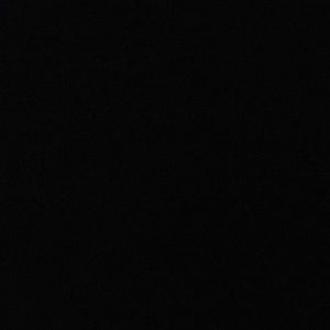 Meet your Posher, Ally