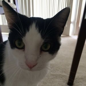 Meet your Posher, May