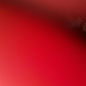 Meet your Posher, Annel