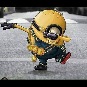 Meet your Posher, Precious