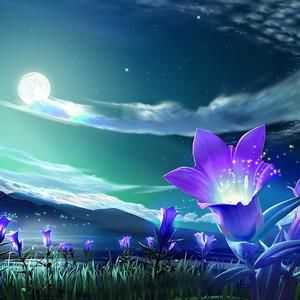 Meet your Posher, Yvonne