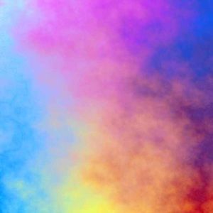 Meet your Posher, Frances