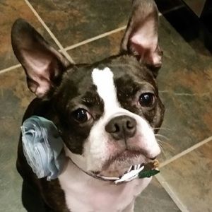 Meet your Posher, Rachel