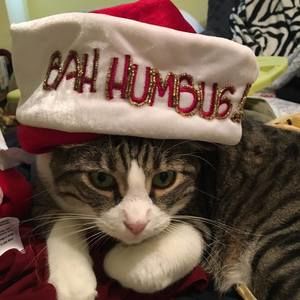 Meet your Posher, Barb