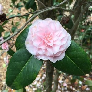 Meet your Posher, Kimberley