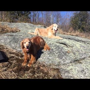 Meet your Posher, Robin