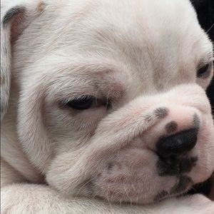 Meet your Posher, Kristy