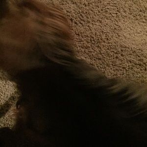 Meet your Posher, Melissa