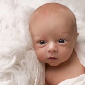 Meet your Posher, Pam