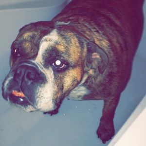 Meet your Posher, Kelsey