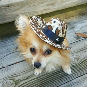 Meet your Posher, Debbi