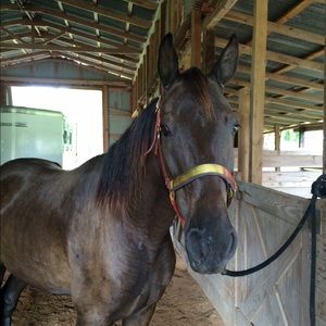 Meet your Posher, Amy