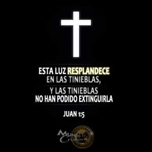 Meet your Posher, Zuly