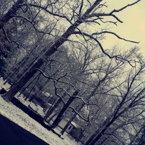 Meet your Posher, Avery