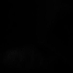 Meet your Posher, Frank