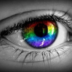 Meet your Posher, Pam