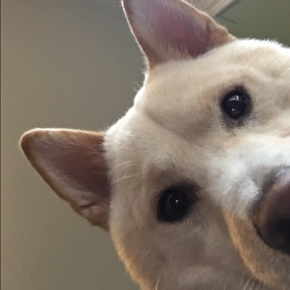 Meet your Posher, Karina