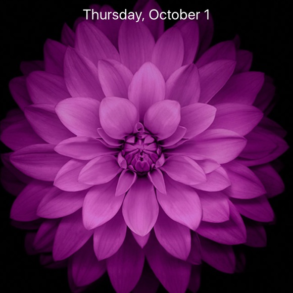 Meet your Posher, Ngoc