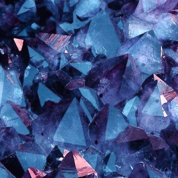 Meet your Posher, Bella