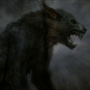 Meet your Posher, Jake