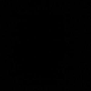 Meet your Posher, Carson