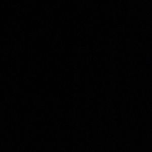 Meet your Posher, Bree