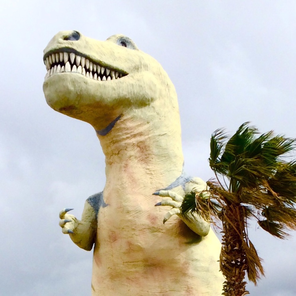 Meet your Posher, Paloma