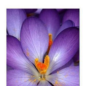 Meet your Posher, Sherri