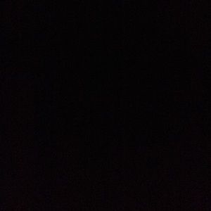 Meet your Posher, Rosie