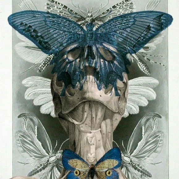 Meet your Posher, Rose