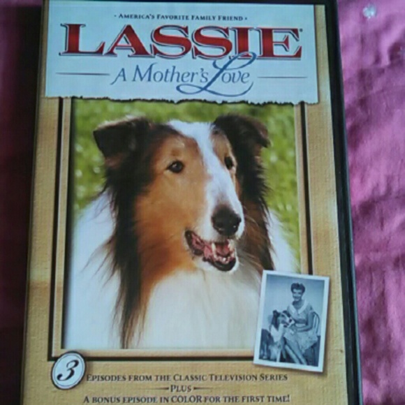 Lassie a Mothers Love movie