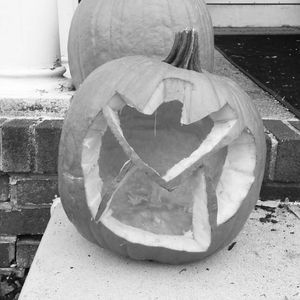 Meet your Posher, Jade