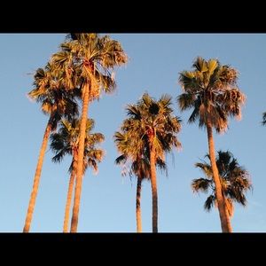 Meet your Posher, Nell