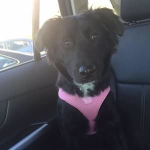 Meet your Posher, Kelly