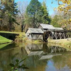 Meet your Posher, Liz