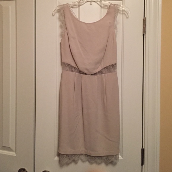 Bcbg dove grey lace cocktail dress - Picture 1 of 4