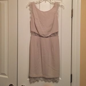Bcbg dove grey lace cocktail dress