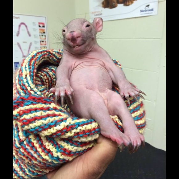 Meet your Posher, Angela