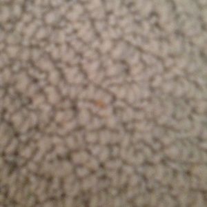 Meet your Posher, Elisia