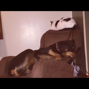 Meet your Posher, Lydia