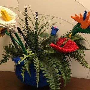 Meet your Posher, Carol