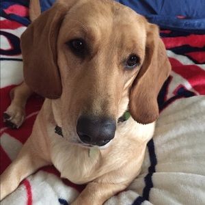 Meet your Posher, Kerry